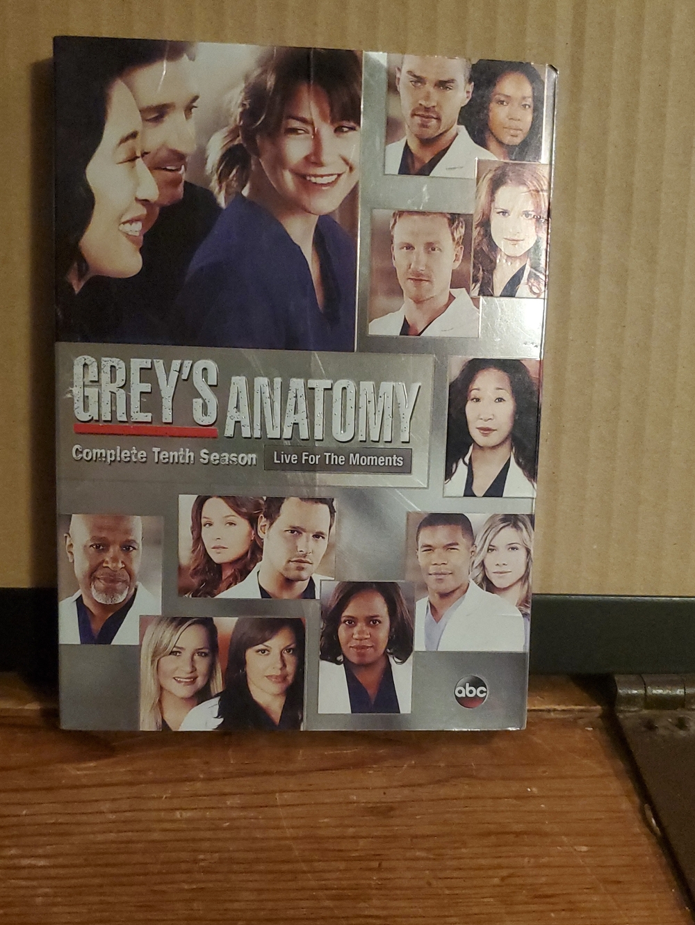 Grey's Anatomy: Complete Tenth Season DVD - Silver/Cream Cover